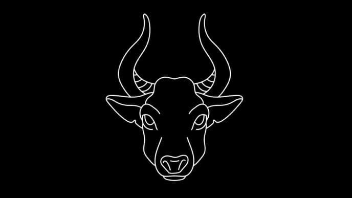roczny horoskop finansowy Byk 2025